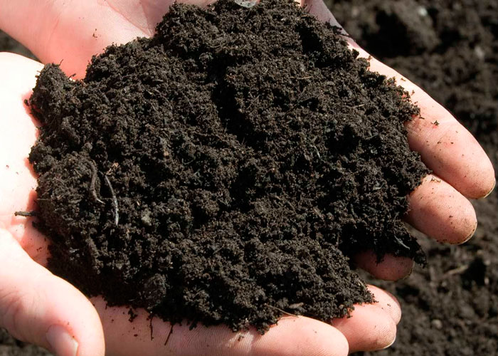 Как своими руками составить лучшую почву для каннабиса
